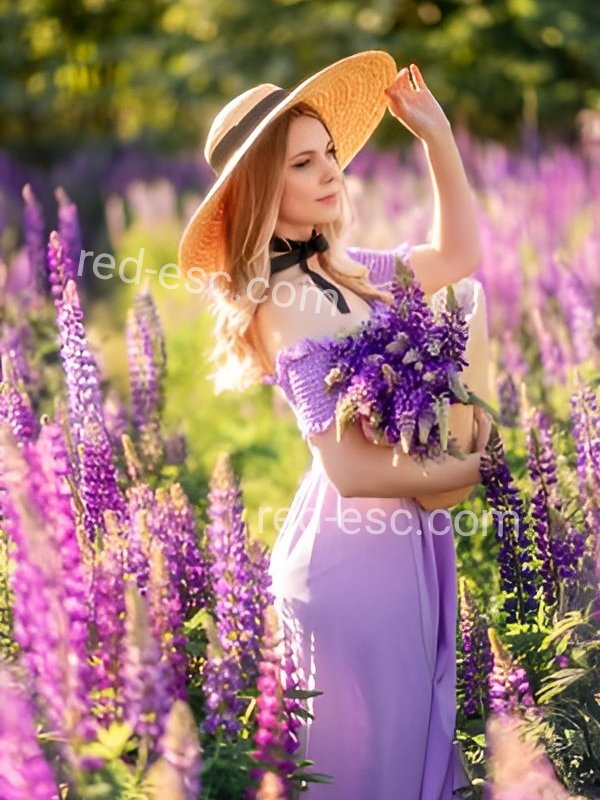 Доброслава — Кораблино